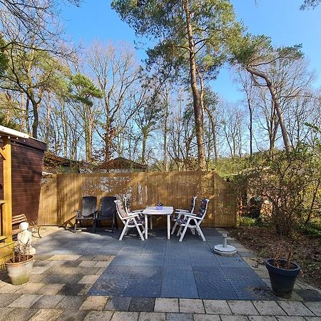 Chalet Boslust Villa IJhorst Exterior foto