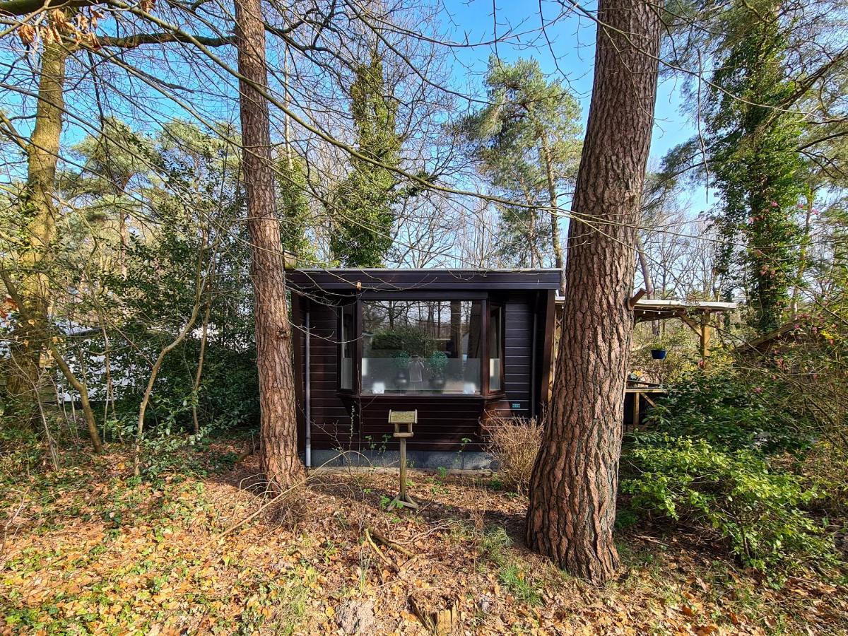 Chalet Boslust Villa IJhorst Exterior foto